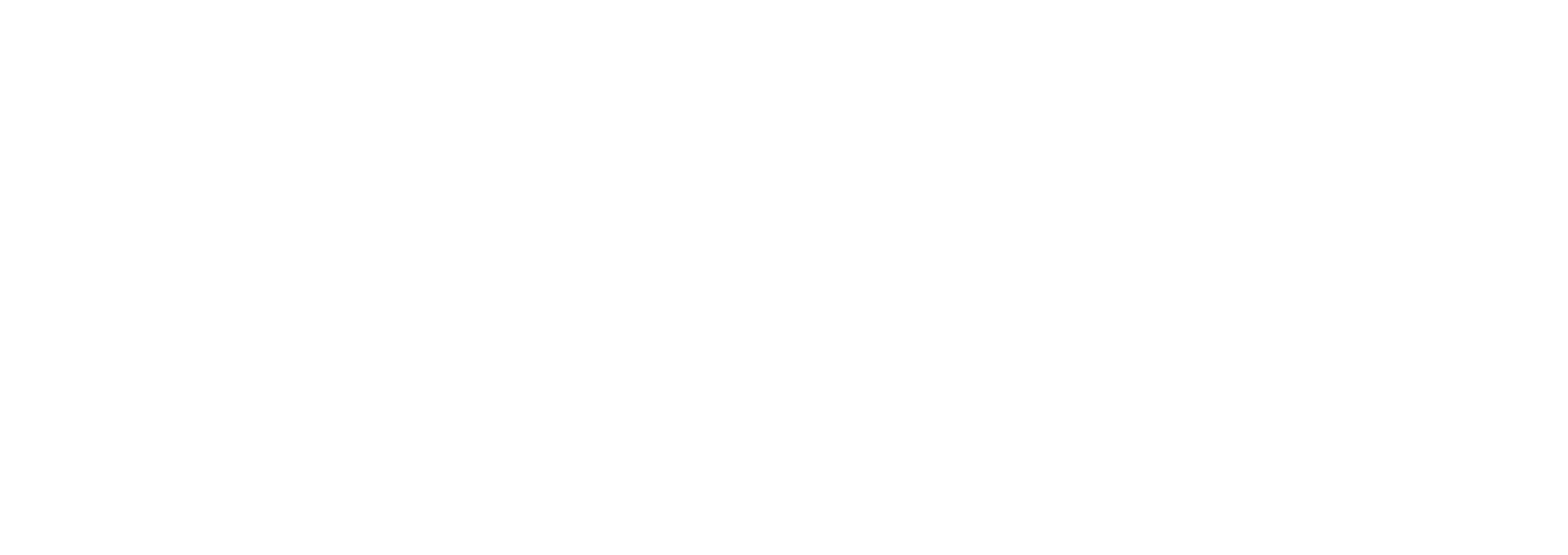 Logo Plexus Santé HD blanc sans fond